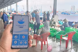 Port exit and entry procedures have been handled via the eCDT software for more than 3,000 fishing vessel excursions in Khanh Hoa province. (Photo: VNA)