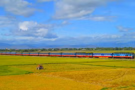 The railway sector is to receive substantial infrastructure development and change its business model. (Photo: VietnamPlus)