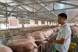 Building safe animal husbandry zones generates export opportunities