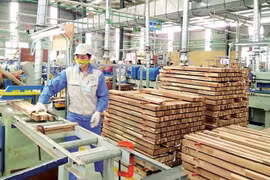 Gia Lai to build wood processing industry on solid foundation