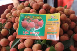 Bac Giang to export lychee via Kep railway station
