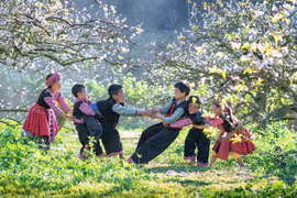 Son La: Moc Chau tourism shows great potential