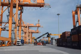 CPTPP reels in more export opportunities for fisheries sector