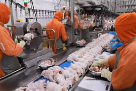 Exporters pin hope on traditional Vietnamese food