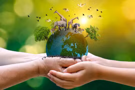 Wildlife protection requires joint efforts from all stakeholders