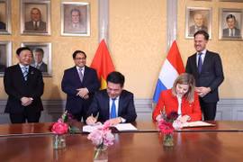 Vietnam-Netherlands share a model relationship of dynamism, effectiveness