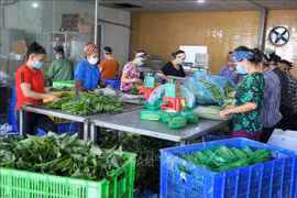 Bac Giang province ramps up new-style rural area building