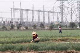 Financial policy crucial to guiding green economy development