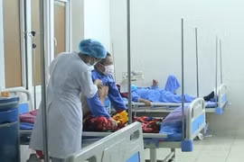 70% of TB patients in working age group: workshop