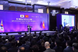 Vietnamese, RoK enterprises exchange cooperation strategies in new period 