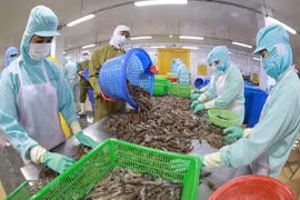 Agro-forestry aquatic product exports predicted to rebound in Q2