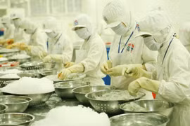 Northern Europe a promising market for Vietnamese farm produce: Experts