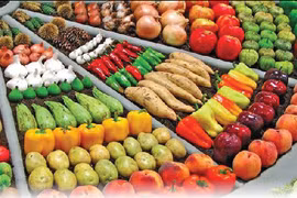 Agro-forestry-fishery exports set new record in 2022
