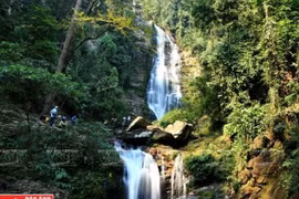 Discovering beauty of Western Nghe An Biosphere Reserve