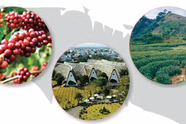 Buon Ma Thuot Coffee Festival 2023