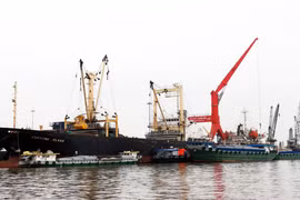 Mekong Delta well positioned to receive FDI inflows