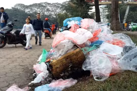 Experts give recommendations to help Vietnam fight plastic pollution