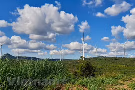 Vietnam needs around 400 billion USD to effectively respond to climate change
