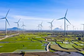 Green growth – Effective solution for sustainable development