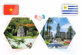 Vietnam, Uruguay strengthen traditional friendship, solidarity