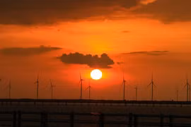 Bac Lieu’s wind power farm: A must-see destination for sunset lovers