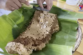 OCOP products promoting local cultural identity