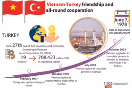 Vietnam-Turkey friendship and all-round cooperation