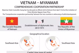 Vietnam-Myanmar comprehensive cooperative partnership