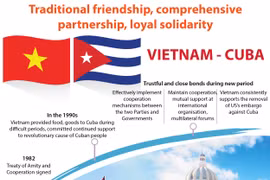 Vietnam, Cuba enjoy loyal solidarity through historical periods