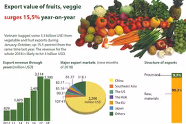 Export value of fruits, veggie surges 15.5 percent year-on-year