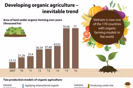 Developing organic agriculture - inevitable trend
