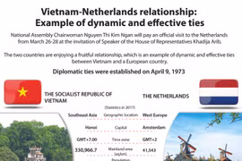 Vietnam-Netherlands relationship:Example of dynamic and effective ties