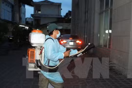 HCM City: new Zika infection in pregnant woman found