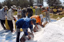 Salt aid delivered to flood-hit people in Ha Tinh