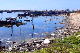 Many big pollution scandals uncovered in 2016: administration
