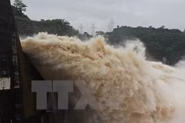 Central region, Central Highlands work toward sustainable hydropower