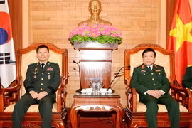 More mutual visits to promote Vietnam-RoK defence relations