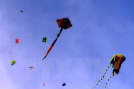 Annual kite fest takes wing in Vung Tau