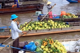 Can Tho to host int’l Mekong Delta agriculture festival