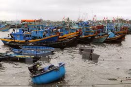 Coastal provinces brace for tropical depression