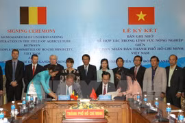 Belgian regions’ firms seek to invest in HCM City