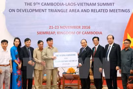 Rice aid delivered to Vietnamese in Cambodia