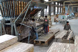 Vietnam’s wood processing faces material shortage