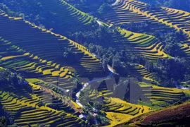 Northern Vietnam named Forbes’ cheapest travel place