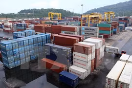 Da Nang port unloads seven-millionth tonne of goods