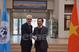 Vietnam, Interpol fight transnational crime 