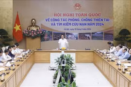 Deputy Prime Minister Tran Luu Quang addresses the conference (Photo: VNA)