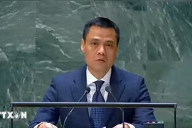 Ambassador Dang Hoang Giang, Vietnam's Permanent Representative to the UN. (Photo: VNA)