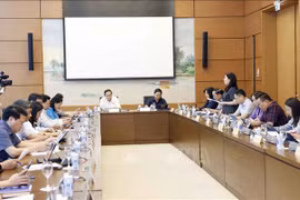 At a group discussion (Photo: VNA)