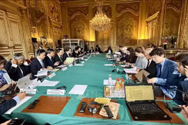 An overview of the session (Photo: VNA)